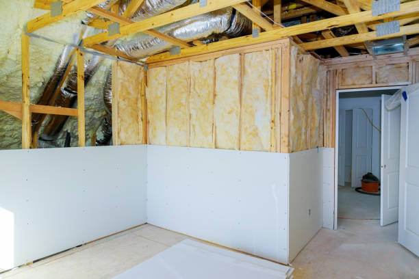 Best Cellulose Insulation in USA